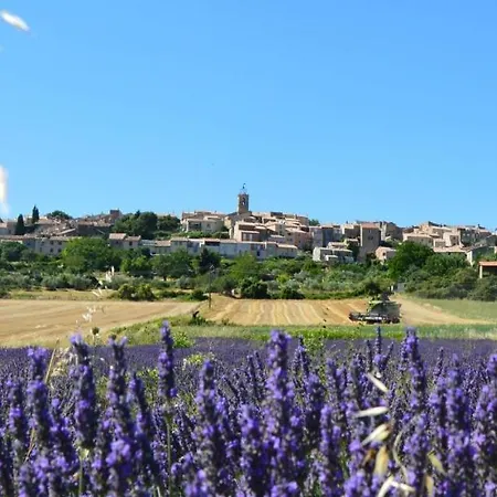 Maison De Village En Provence Puimoisson