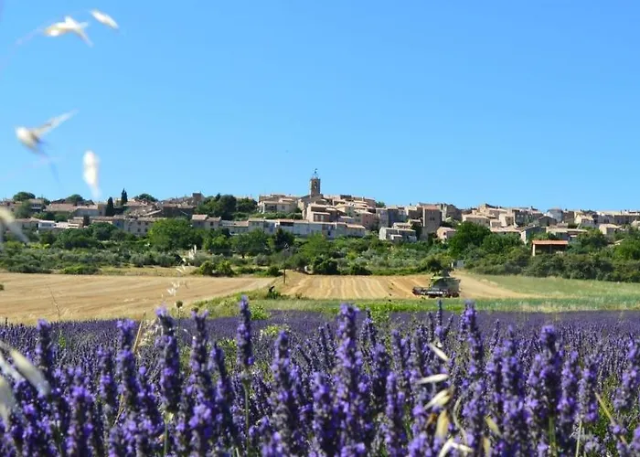 Maison De Village En Provence Puimoisson